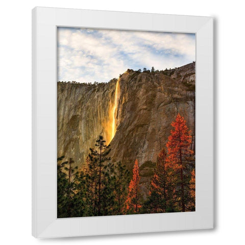 The Lost Fire White Modern Wood Framed Art Print by Gordon, Dave