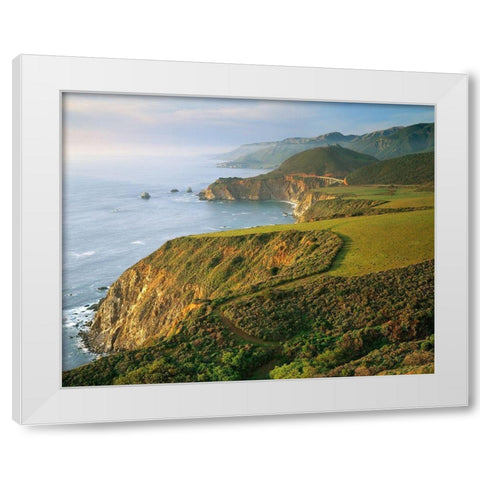 Bixby Bridge White Modern Wood Framed Art Print by Gavrilis, John