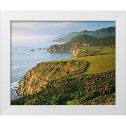 Bixby Bridge White Modern Wood Framed Art Print by Gavrilis, John