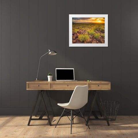 Brittlebush Sunset White Modern Wood Framed Art Print by Gavrilis, John