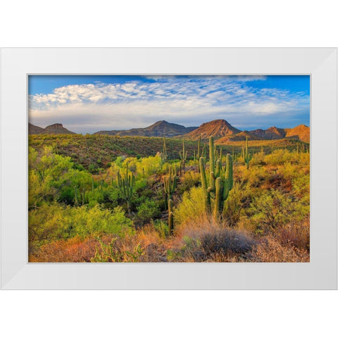 Jewel Evening White Modern Wood Framed Art Print by Gavrilis, John