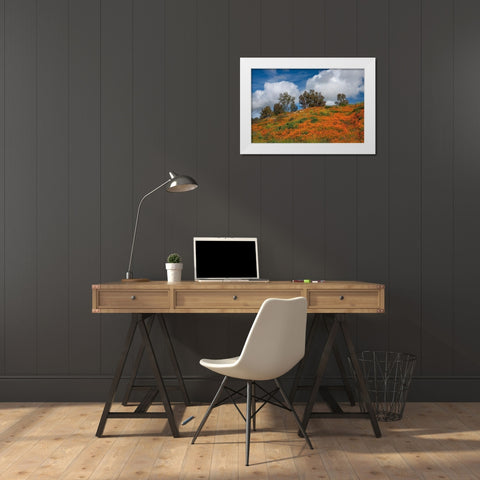 Poppies-Trees And Clouds White Modern Wood Framed Art Print by Gavrilis, John