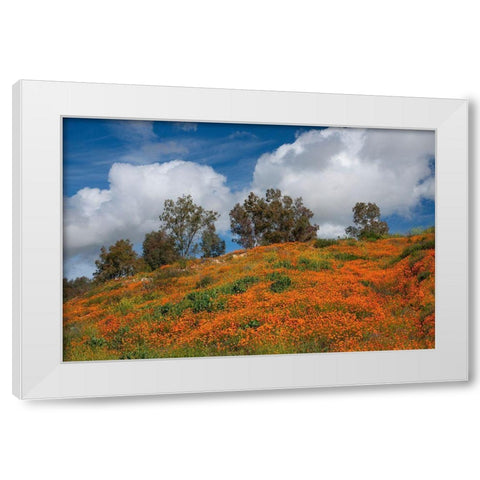 Poppies-Trees And Clouds White Modern Wood Framed Art Print by Gavrilis, John
