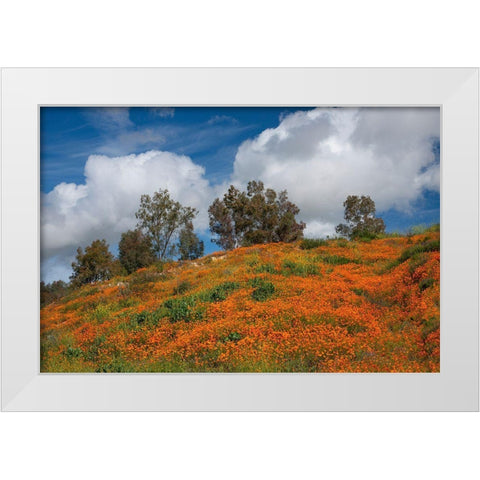 Poppies-Trees And Clouds White Modern Wood Framed Art Print by Gavrilis, John
