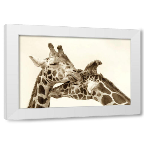In Love White Modern Wood Framed Art Print by Grippo-Pike, Carrie Ann