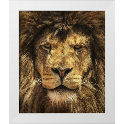 Lion King White Modern Wood Framed Art Print by Grippo-Pike, Carrie Ann