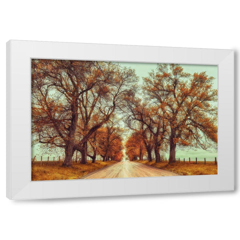November Adventures White Modern Wood Framed Art Print by Grippo-Pike, Carrie Ann