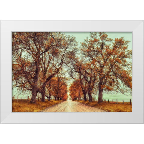 November Adventures White Modern Wood Framed Art Print by Grippo-Pike, Carrie Ann