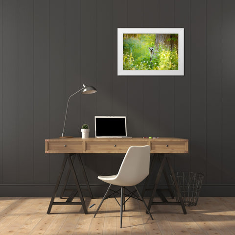 Peek A Boo White Modern Wood Framed Art Print by Grippo-Pike, Carrie Ann