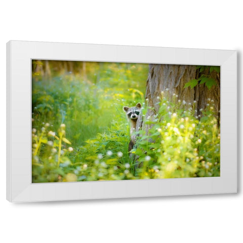 Peek A Boo White Modern Wood Framed Art Print by Grippo-Pike, Carrie Ann