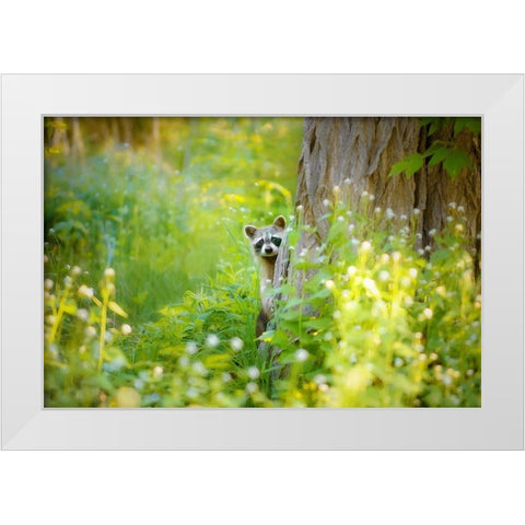 Peek A Boo White Modern Wood Framed Art Print by Grippo-Pike, Carrie Ann