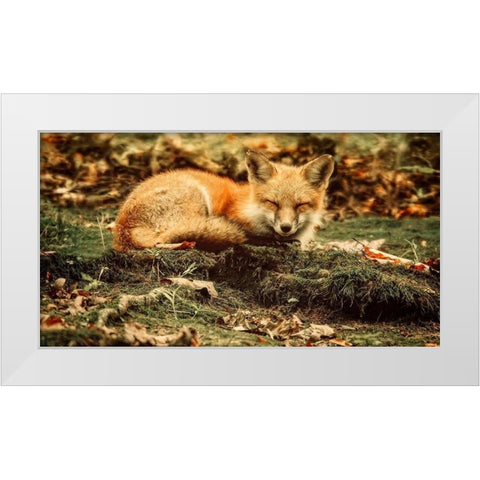 Sleeping Beauty White Modern Wood Framed Art Print by Grippo-Pike, Carrie Ann