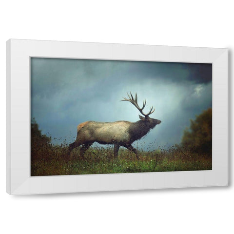 The Elk White Modern Wood Framed Art Print by Grippo-Pike, Carrie Ann