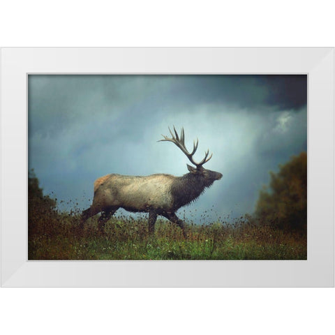 The Elk White Modern Wood Framed Art Print by Grippo-Pike, Carrie Ann