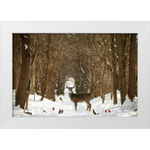 The Forest of Snow White White Modern Wood Framed Art Print by Grippo-Pike, Carrie Ann