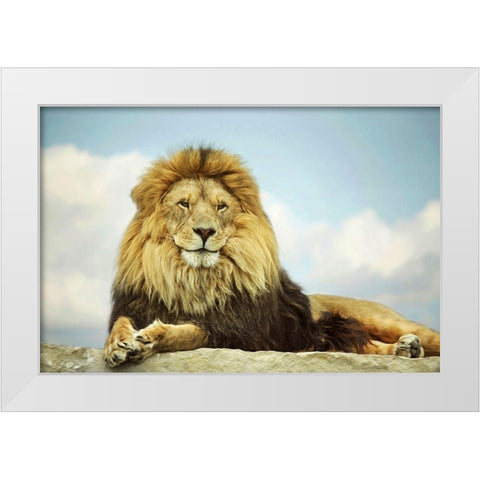 The King White Modern Wood Framed Art Print by Grippo-Pike, Carrie Ann