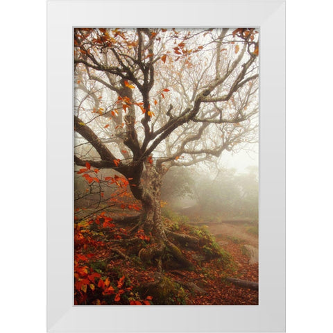 Tree of Seasons White Modern Wood Framed Art Print by Grippo-Pike, Carrie Ann