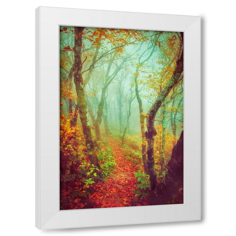 Fairytale Fall Pathway White Modern Wood Framed Art Print by Grippo-Pike, Carrie Ann