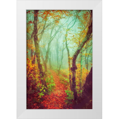 Fairytale Fall Pathway White Modern Wood Framed Art Print by Grippo-Pike, Carrie Ann
