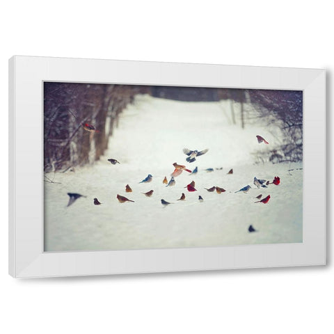 Feathered Friends Birds in Snow White Modern Wood Framed Art Print by Grippo-Pike, Carrie Ann