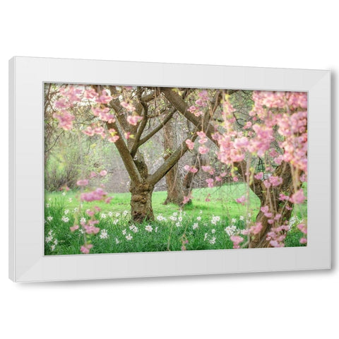 Springtime Fairytale Cherry Tree White Modern Wood Framed Art Print by Grippo-Pike, Carrie Ann