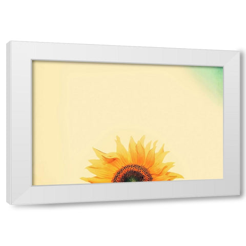 Sunflower Sunrise White Modern Wood Framed Art Print by Grippo-Pike, Carrie Ann
