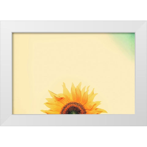 Sunflower Sunrise White Modern Wood Framed Art Print by Grippo-Pike, Carrie Ann