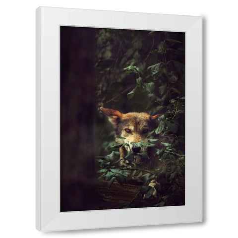 Wolf White Modern Wood Framed Art Print by Grippo-Pike, Carrie Ann