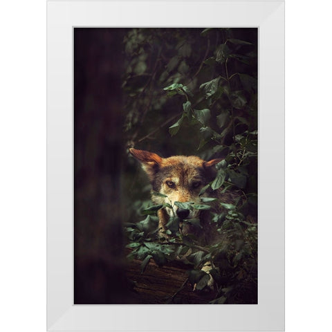 Wolf White Modern Wood Framed Art Print by Grippo-Pike, Carrie Ann