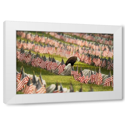 The Final Salute - Blad Eagle White Modern Wood Framed Art Print by Grippo-Pike, Carrie Ann