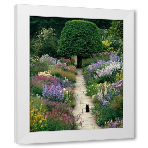 The Garden Cat White Modern Wood Framed Art Print by Gawlowski, Greg