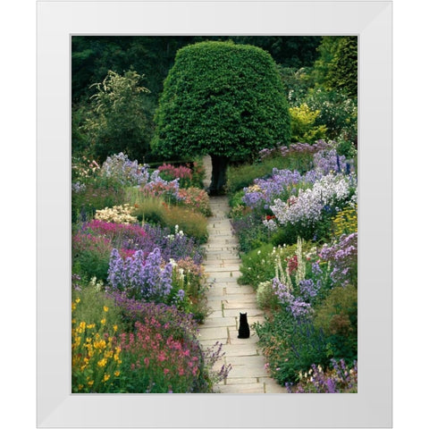 The Garden Cat White Modern Wood Framed Art Print by Gawlowski, Greg