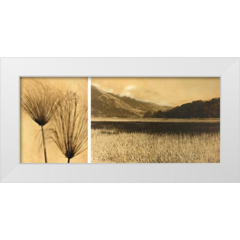 Bolinas Lagoon #7 White Modern Wood Framed Art Print by Gauthier, Jan