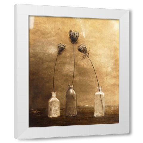 Three Views White Modern Wood Framed Art Print by Gauthier, Jan