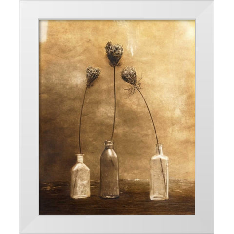 Three Views White Modern Wood Framed Art Print by Gauthier, Jan