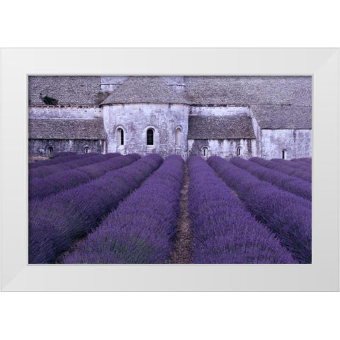 Lavender Abbey White Modern Wood Framed Art Print by Gawlowski, Greg