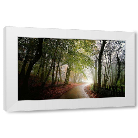 The Fence White Modern Wood Framed Art Print by Goncalves, Adelino