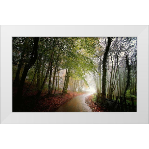 The Fence White Modern Wood Framed Art Print by Goncalves, Adelino