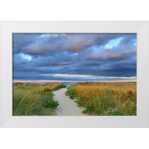 Jetties Beach Path White Modern Wood Framed Art Print by Gendreau, Katherine