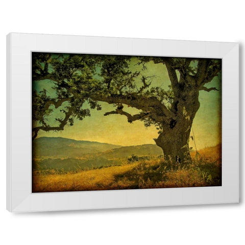 Blue Oak Hilltop White Modern Wood Framed Art Print by Guion, William