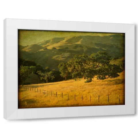 Oak and Fence White Modern Wood Framed Art Print by Guion, William