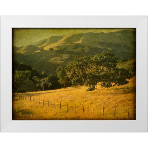 Oak and Fence White Modern Wood Framed Art Print by Guion, William