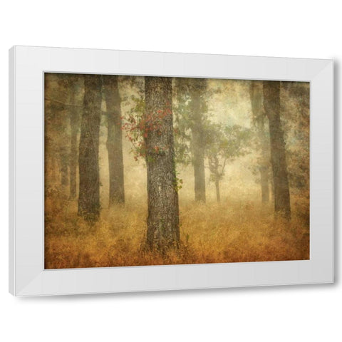 Oak Grove in Fog White Modern Wood Framed Art Print by Guion, William