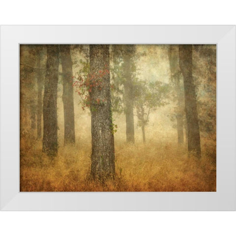 Oak Grove in Fog White Modern Wood Framed Art Print by Guion, William