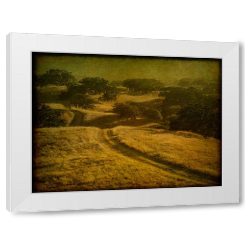 Ranch Road and Oak Savannah White Modern Wood Framed Art Print by Guion, William