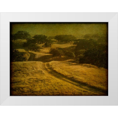 Ranch Road and Oak Savannah White Modern Wood Framed Art Print by Guion, William