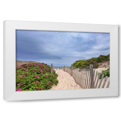 Rose Path White Modern Wood Framed Art Print by Gendreau, Katherine