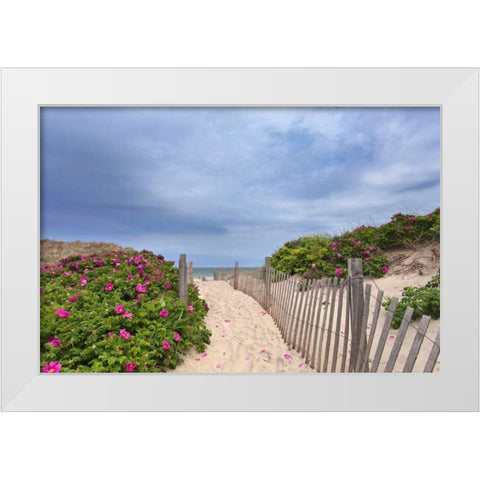 Rose Path White Modern Wood Framed Art Print by Gendreau, Katherine