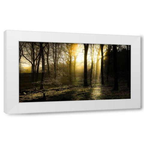 Autumn Lights White Modern Wood Framed Art Print by Goncalves, Adelino