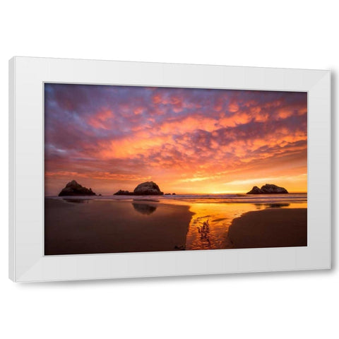 Flow White Modern Wood Framed Art Print by Gordon, Dave